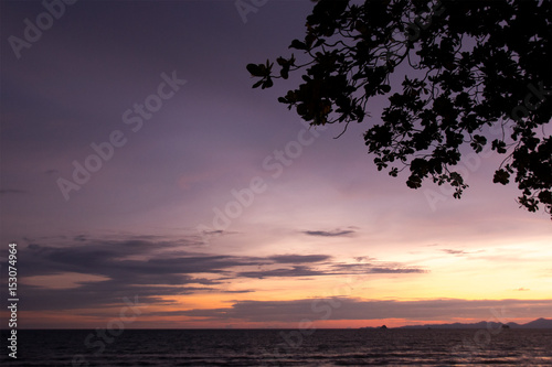 Backlit branches and purple and yellow sky and sea in evening time