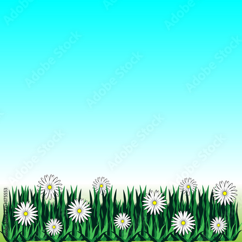 Flower with grass isolated on blue background