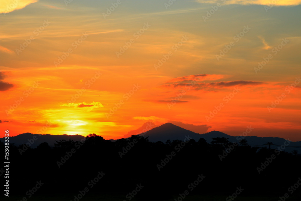 sunset beautiful and silhouette mountain tree woodland colorful landscape in sky twilight time