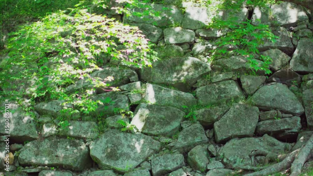 Japanese style stone architecture in fresh green wood
Japanese style stone architecture in fresh green wood