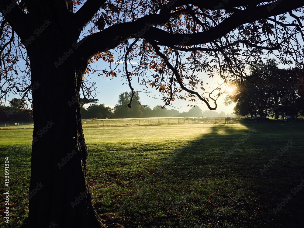 Obraz premium Winter Sunrise