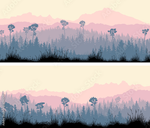Horizontal wide banners of coniferous wood.