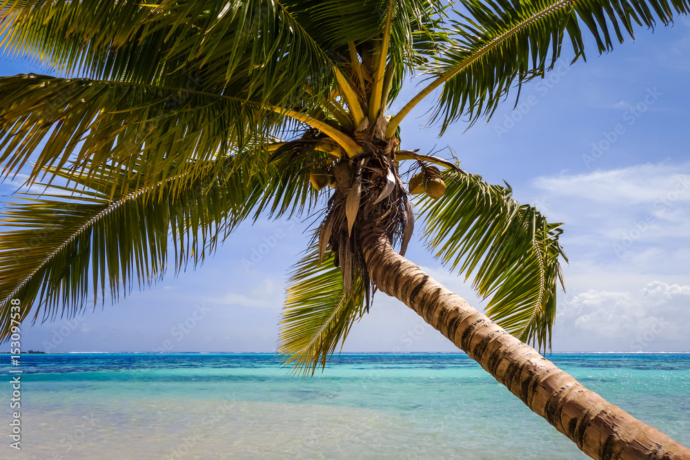 Paradise tropical beach and lagoon in Moorea Island Paradise tropical beach and lagoon in Moorea Island