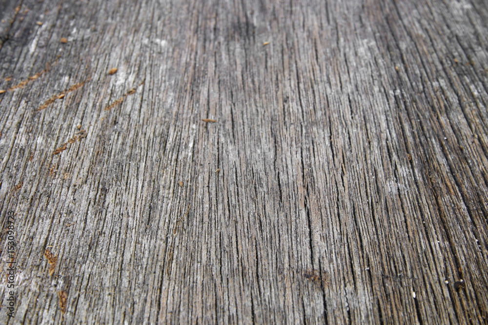 Fototapeta premium wood texture old pattern beautiful background macro select focus with shallow depth of field.