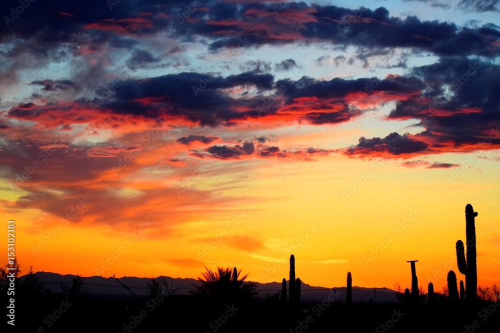 Beautiful Arizona Sunset and Silhouettes