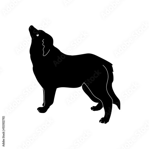 Black silhouette of a dog on a white background