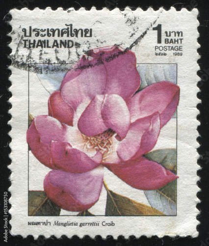 Fototapeta Naklejka Na Ścianę i Meble -  flower