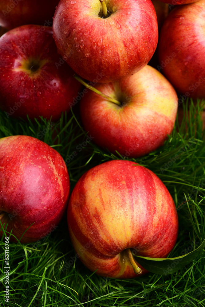 fresh apple fruit red color on green grass, natural background