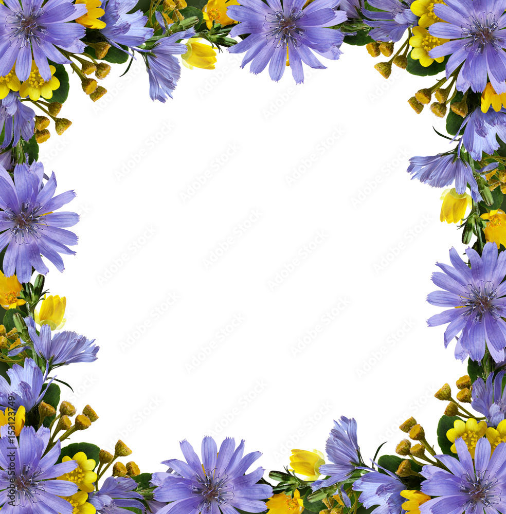 Wild flowers frame Wild flowers frame