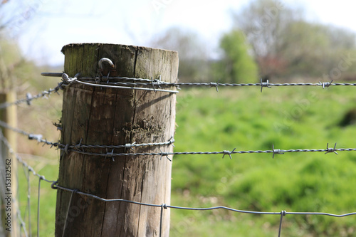 Bard wire fence