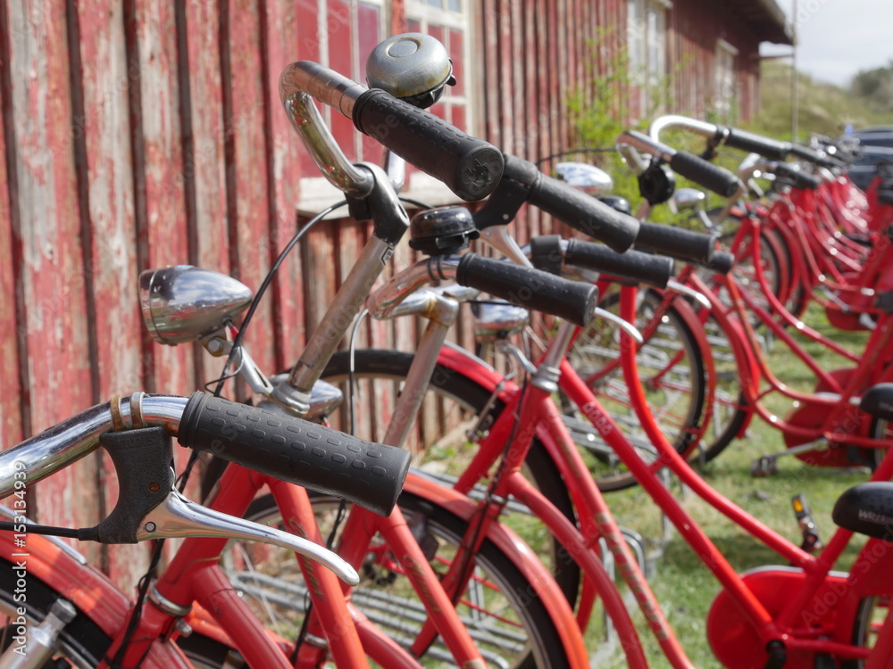 Obraz premium Fahrräder