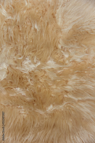 natural sheepskin texture
