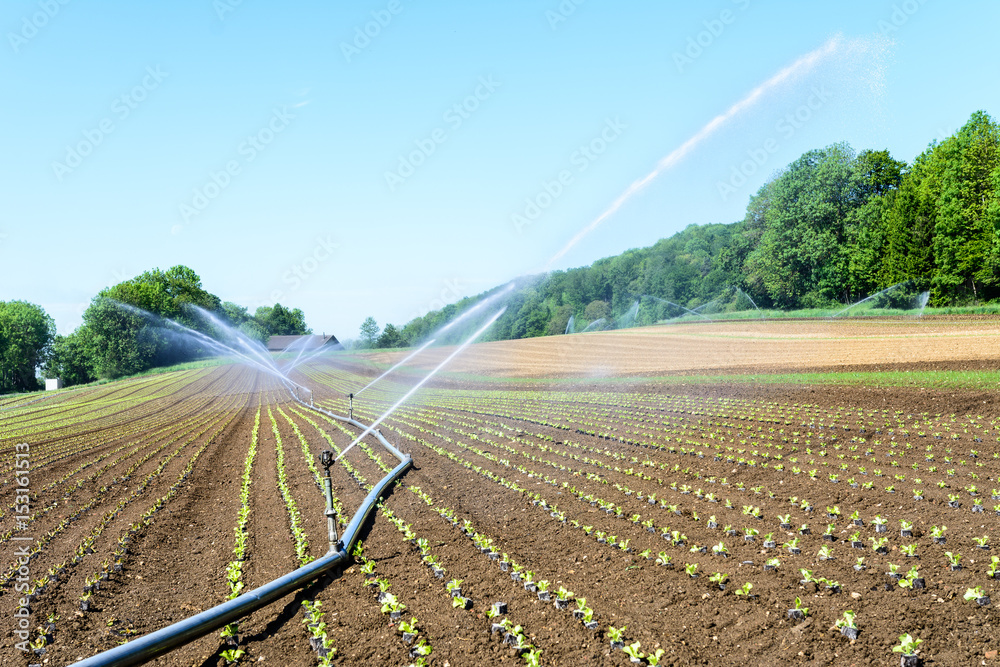 Venturi Dünger Injektor Für Bewässerung - 1/2, 3/4, 1 Zoll Anschluss