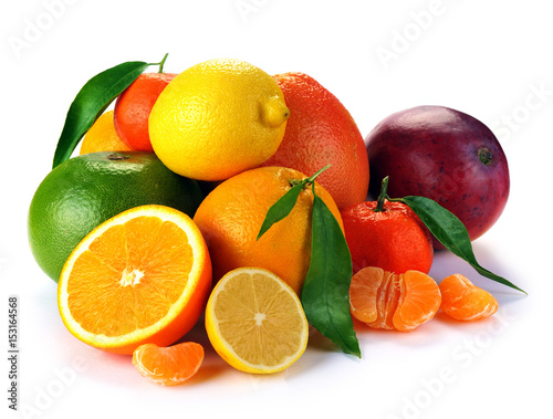 set of citrus  fruits