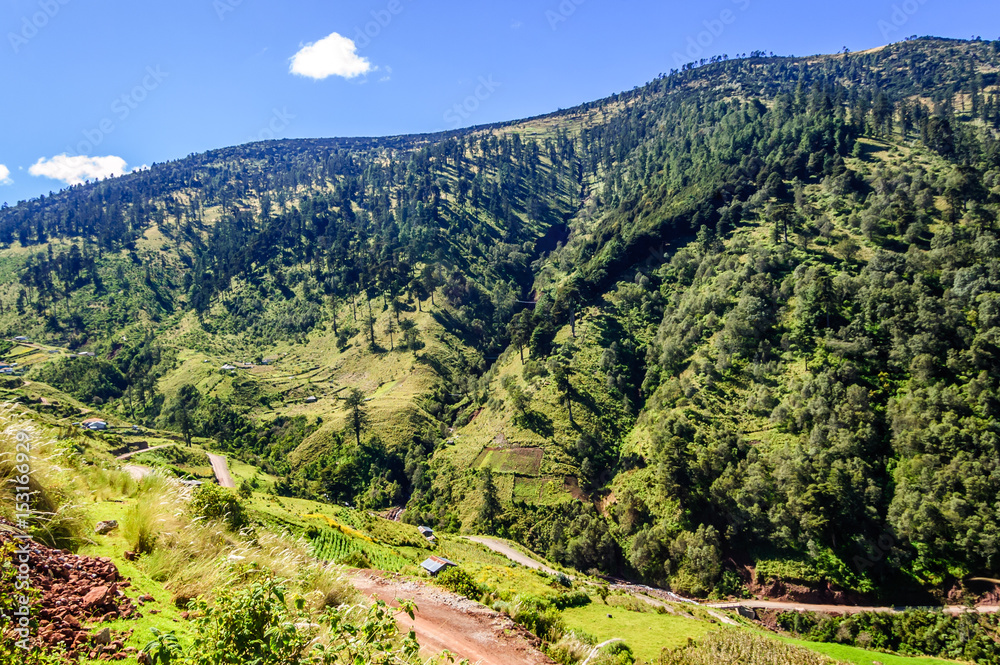 Road winds through forested hills in highlands of Huehuetenango, Guatemala, Central America
