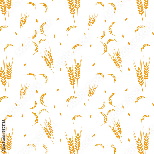 pattern wheat grain harvest