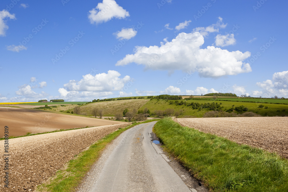 country road and chalky soil