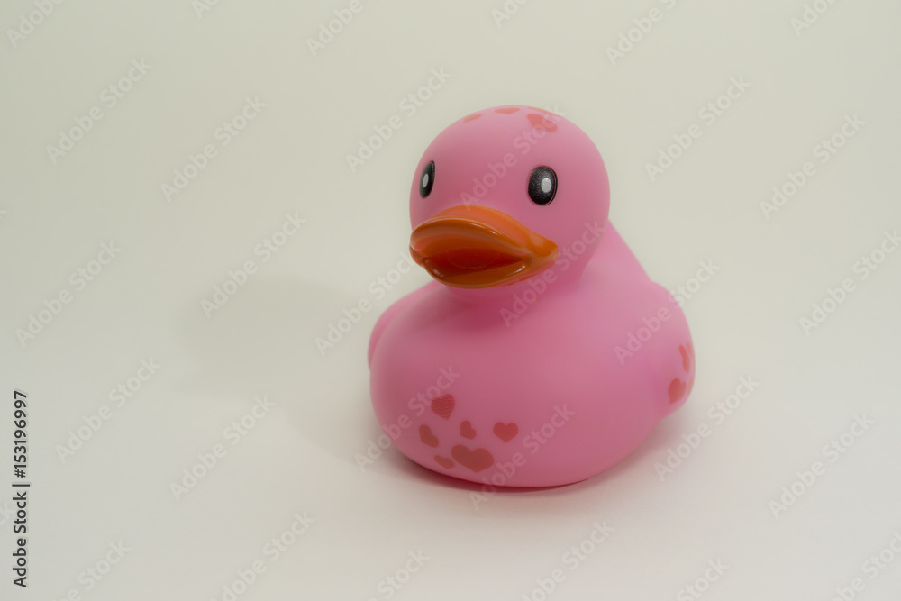 violet rubber duck, isolated on a white background. Children bath toy rubber ducky, close up. violet rubber duck, isolated on a white background. Children bath toy rubber ducky, close up.