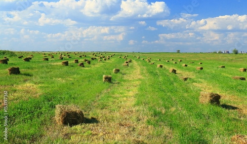 Bales of hay on the farm field
