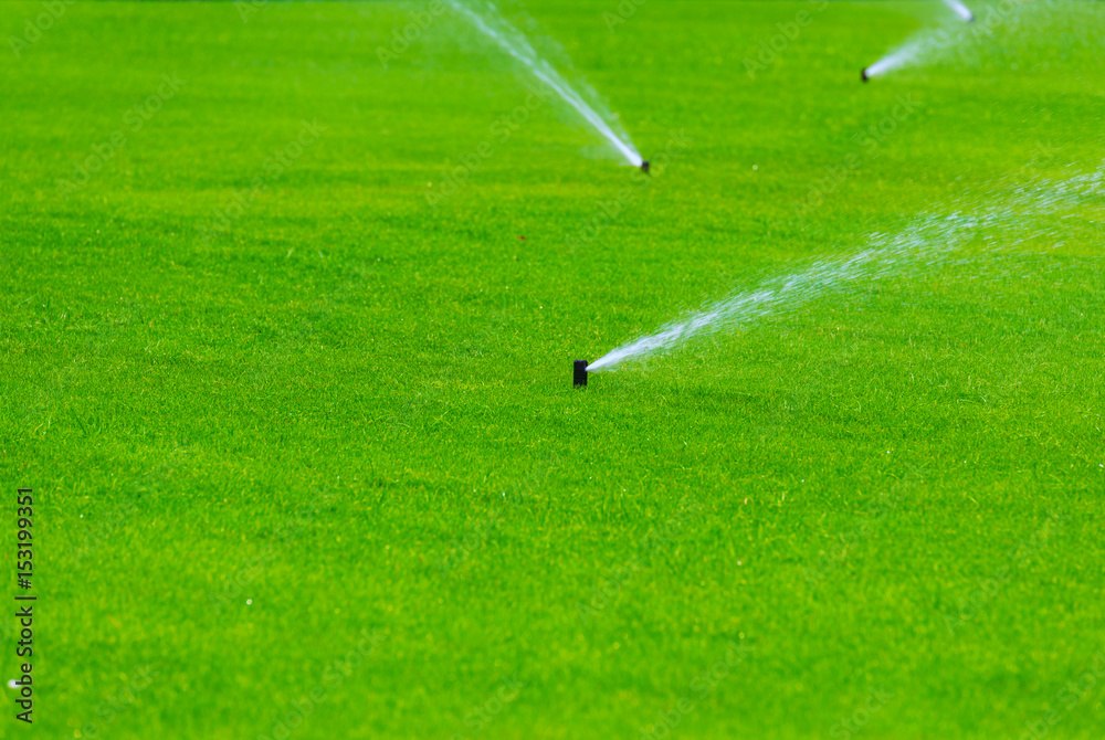 Lawn sprinkler spaying water over green grass. Irrigation system Lawn sprinkler spaying water over green grass. Irrigation system