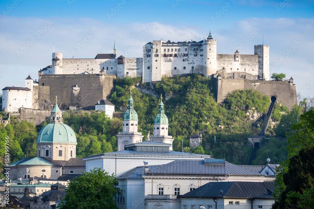 Fototapeta premium Fortress on hill in a beautiful summer day
