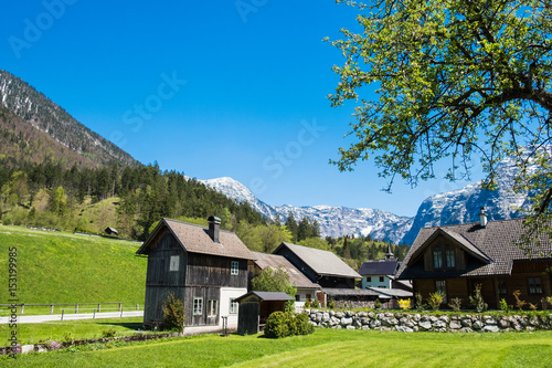 A typical Austrian mountain landscape on the Alpine meadow near hallstatt city, the view from the summer green lawn, have houses with mountains alps peaks background and have tree is front right