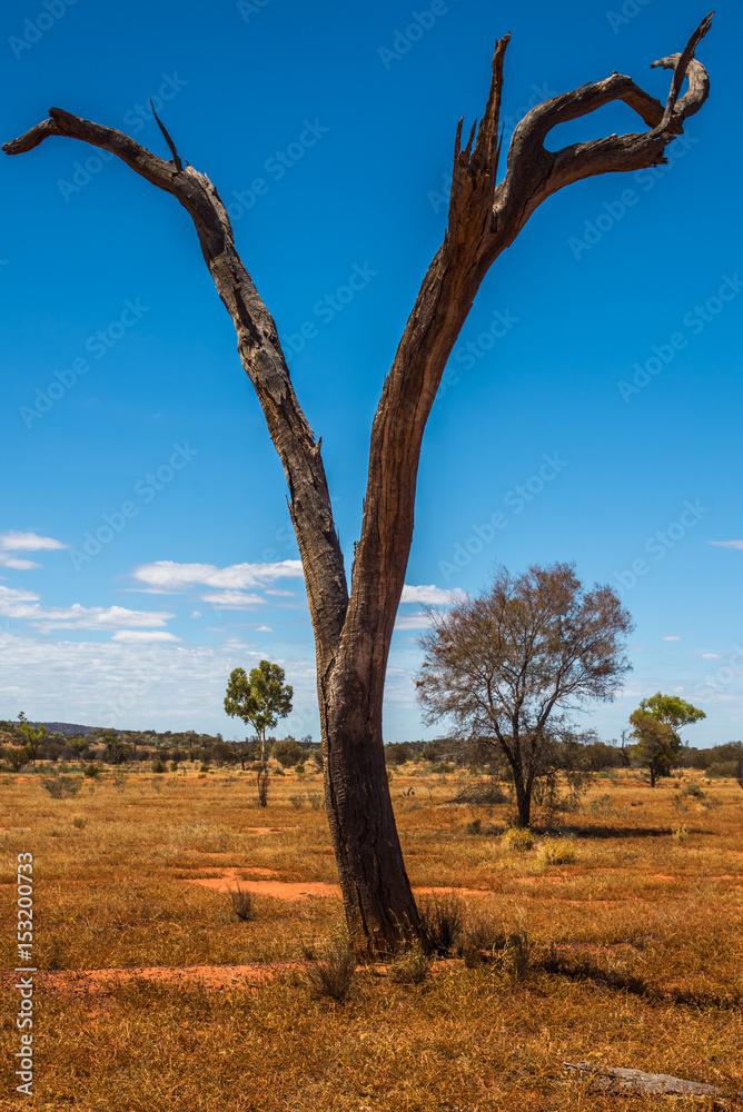 Australia landscape Australia landscape