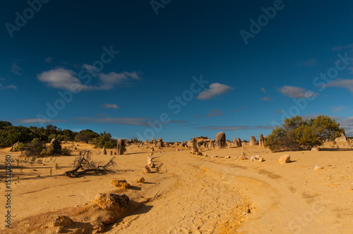 Deserto dei pinnacoli a nord di Perth  Nambung  Australia occidentale