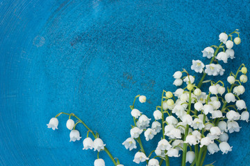 Acrylglasbilder Maiglöckchen Maiglöckchen Blüten zwischen grünen Blättern  © aga7ta