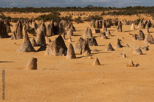 Deserto dei pinnacoli a nord di Perth, Nambung, Australia occidentale photo