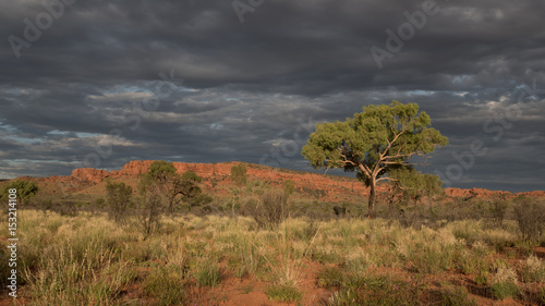 Foto Australia landscape
