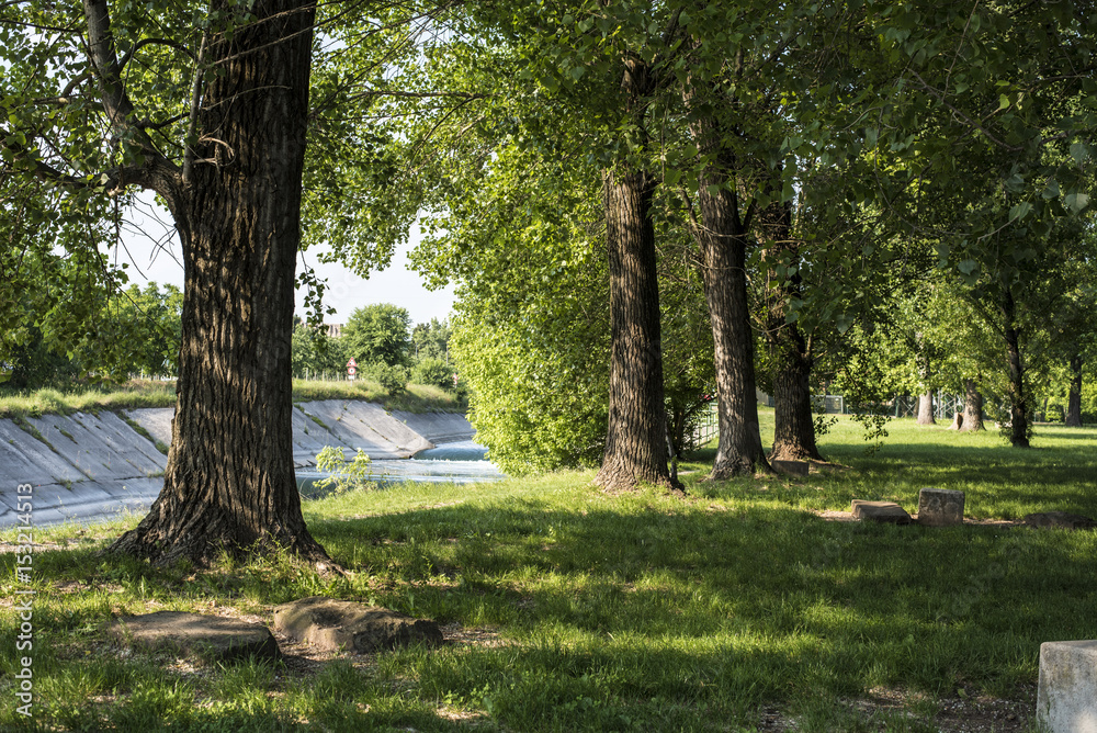 Fototapeta premium Parco