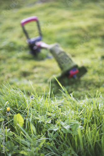 String trimmer lies on mown lawn middle of the yard