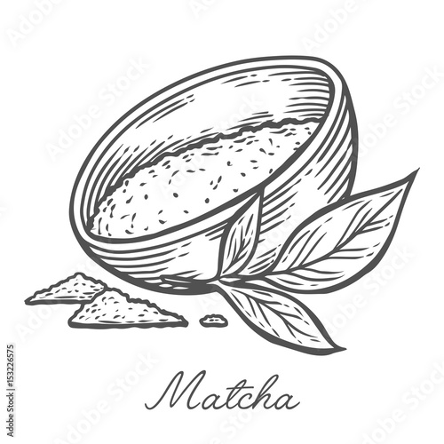Matcha powder green tea in bowl cup with leaf hand drawn engraving illustration. Healthy drink ingredient for japanese, chinese tea ceremony.