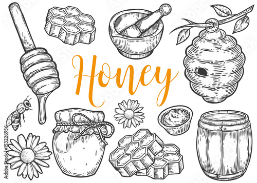 Honey jar, barrel, spoon, bee, honeycomb, chamomile, vintage set. Engraved organic food hand drawn sketch illustration. Black isolated on white background.