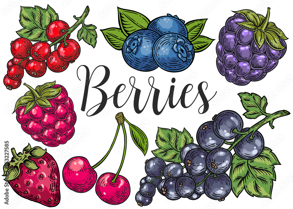 Berry Color