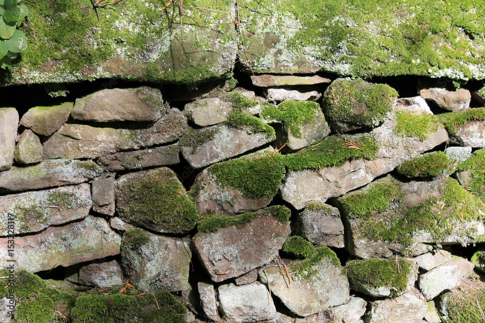 dry stone wall moss covered background dry stone wall moss covered background