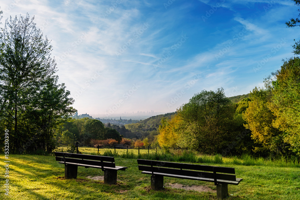 Fototapeta premium park bench with view on Frankfurt am Main