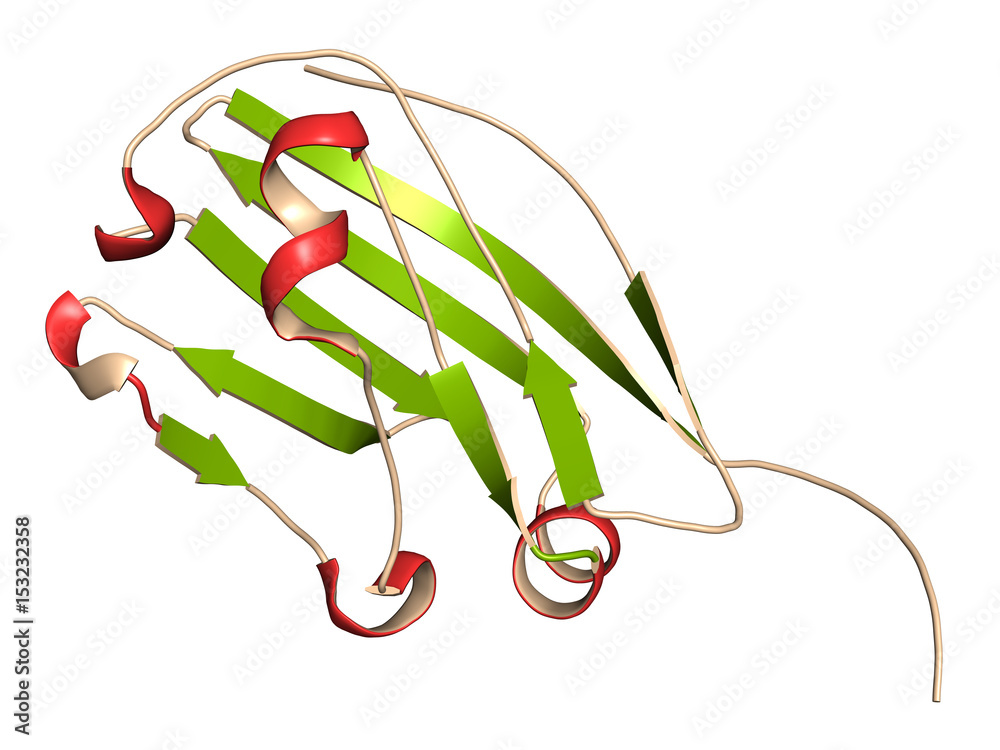 CD47 (integrin associated protein, extracellular domain) protein. Often ...