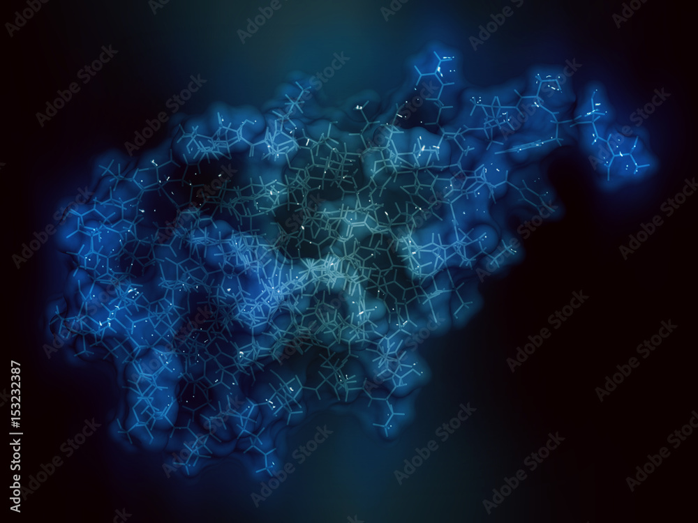 CD47 (integrin associated protein, extracellular domain) protein. Often present on cancer cells and a potential antitumoral drug target. 3D rendering based on protein data bank entry 4cmm. - obrazy, fototapety, plakaty 