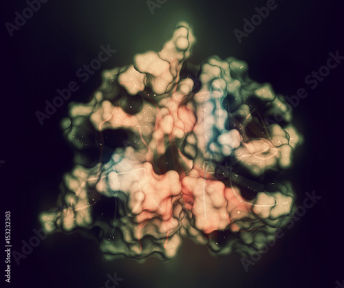 CD3 protein (epsilon/delta ectodomain dimer). CD3 is present on the surface of T-lymphocytes and is required for T-cell activation. 3D rendering based on protein data bank entry 1xiw. photo