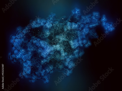 CD47 (integrin associated protein, extracellular domain) protein. Often present on cancer cells and a potential antitumoral drug target. 3D rendering based on protein data bank entry 4cmm.