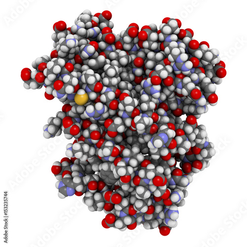 Farnesoid X receptor (ligand binding domain) protein. Target of the drug obeticholic acid. 3D rendering based on protein data bank entry 4wvd. photo