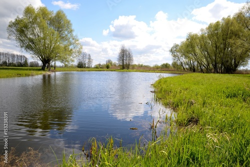 Obraz na płótnie Grass and trees on the lake shore and blue sky w salonie
