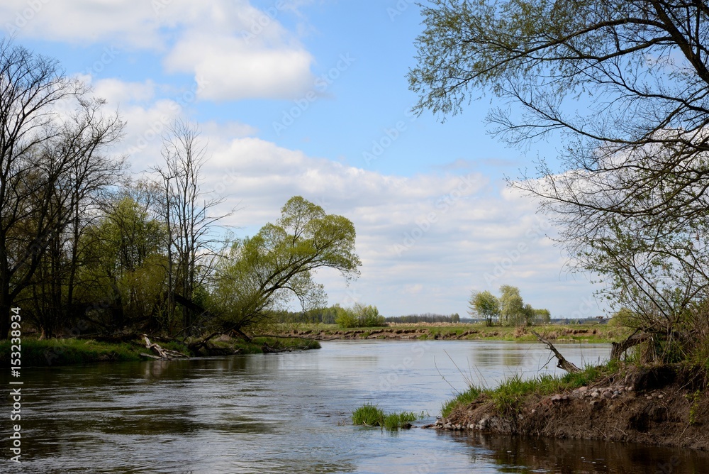 A tree above the river bend and the blue sky