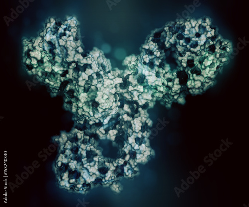 Pembrolizumab monoclonal antibody drug protein. Immune checkpoint inhibitor targetting PD-1, used in the treatment of a number of cancers. 3D rendering based on protein data bank entry 5dk3. photo