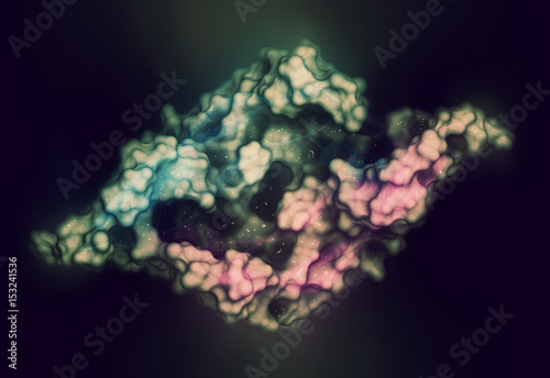 Placental growth factor (PlGF, receptor binding domain) protein. 3D rendering based on protein data bank entry 1rv6. photo