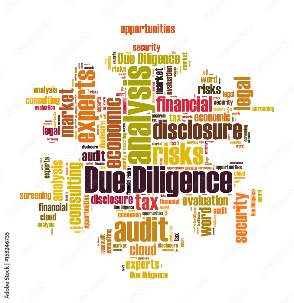 Due Diligence word cloud