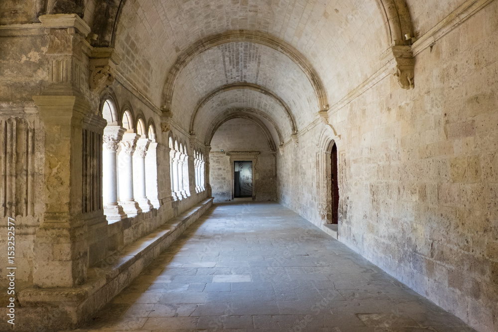France, Arles, Abbey of Saint Peter of Montmajour, Benedictine order, established in  949 AD. Cloister area.