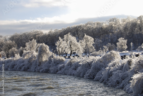 Frozen Landscape